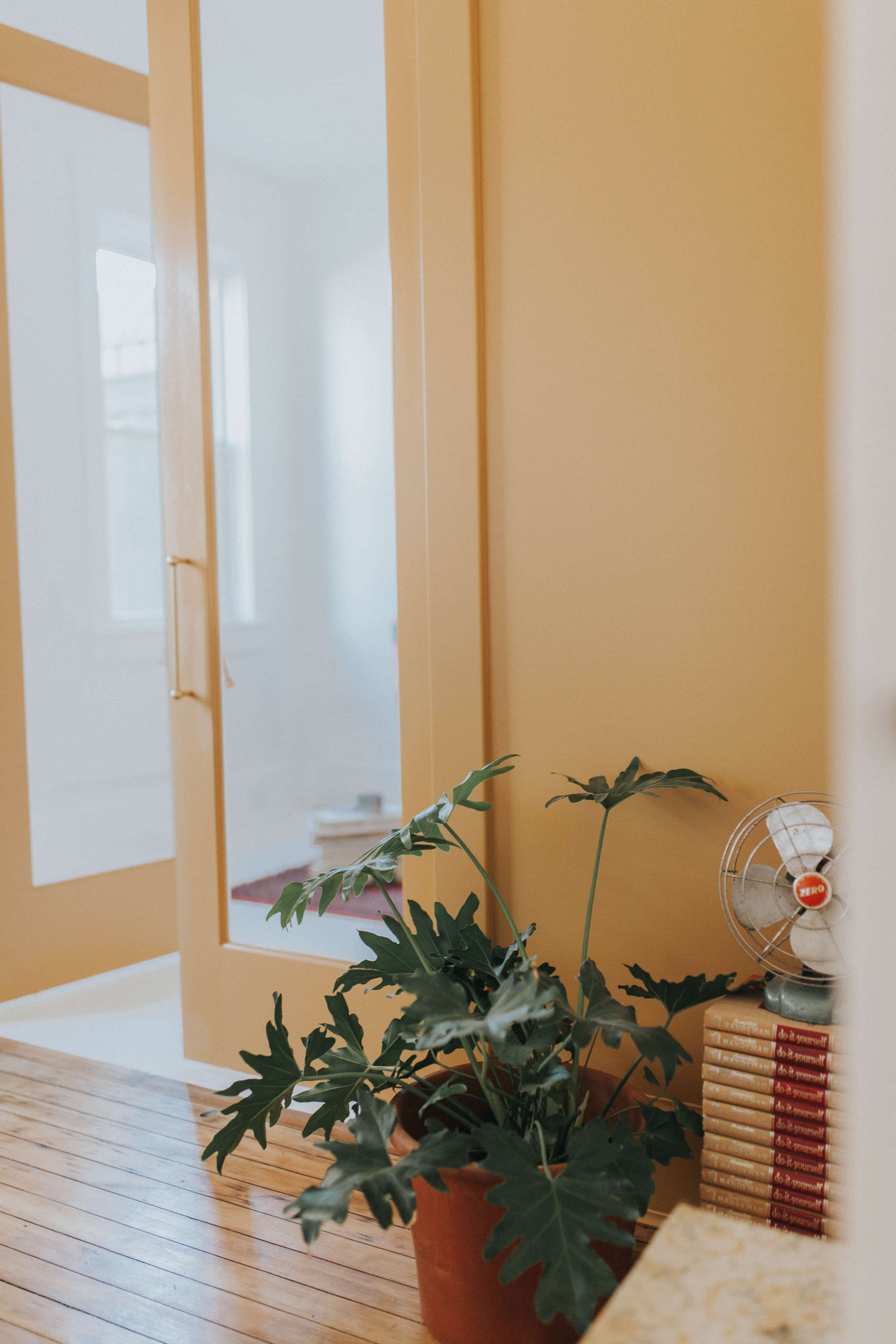 yellow walls in Lancaster City renovation